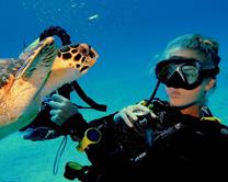 Cayman Islands Scuba Diving Holiday. Grand Cayman Dive Centre. Diver and Turtle.